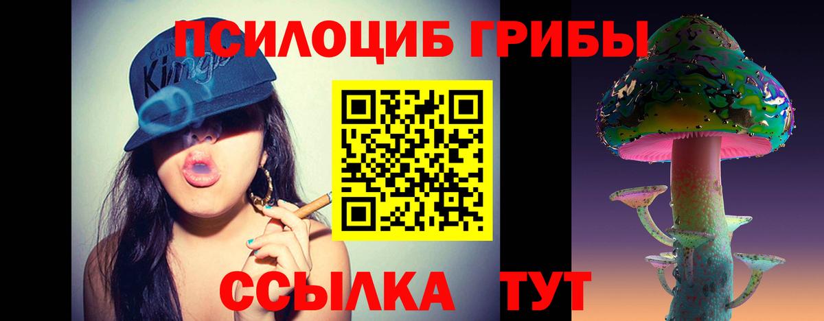 Златоуст  Псилоцибиновые грибы Psilocybe  Вход с VPN 